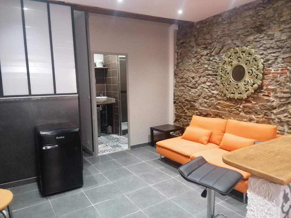 Du Bonheur Et Du Bon Air A Banyuls ! Apartment Ngoại thất bức ảnh